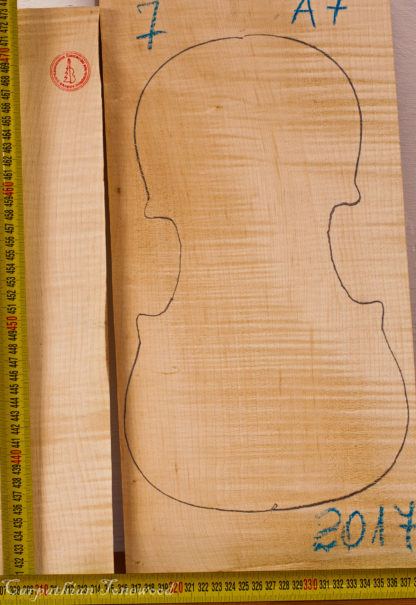 Violin No.7 Back and Sides made with Curly Maple in 2017 A grade