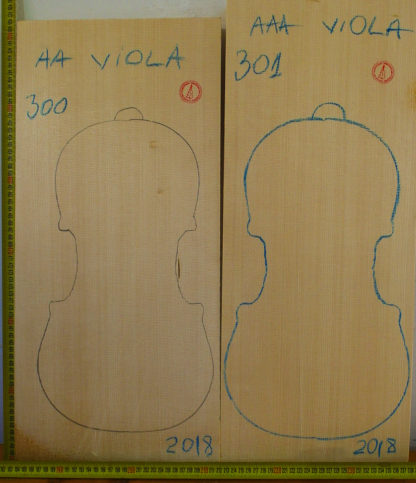 Viola No.300 Top
