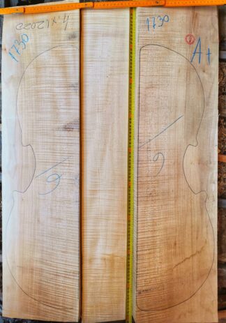 Cello No.1730 Back and Sides