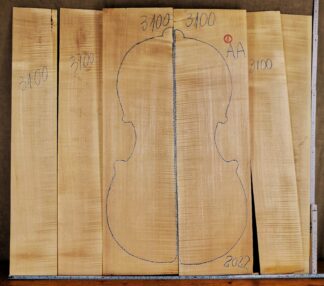 Cello No.3100 Back and Sides
