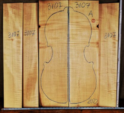 Cello No.3107 Back and Sides
