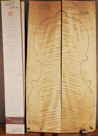 Cello No.4203 Back and Sides