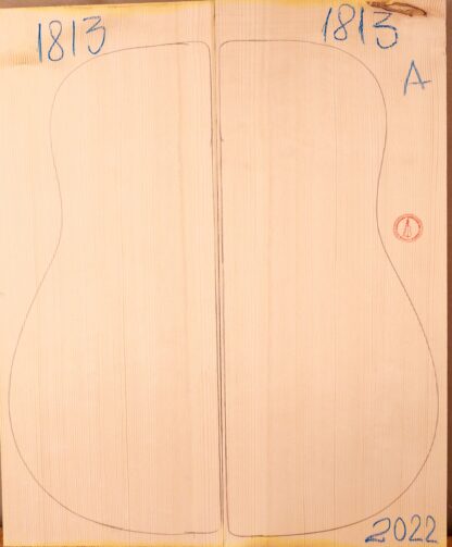 Guitar archtop No.1813 Top