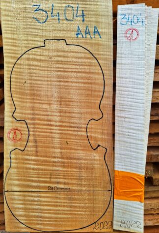 Violin No.3404 One piece Back and Sides