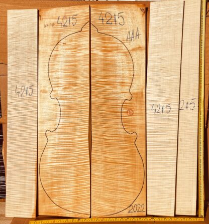 curly maple cello back