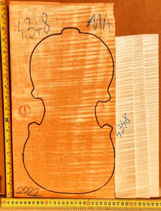 Violin No.4348 One piece Back and Sides