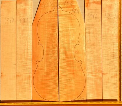 Cello No.4917 Back and Sides