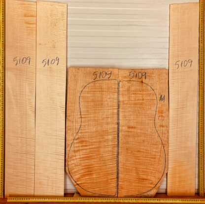 Guitar archtop No.5109 Back and Sides
