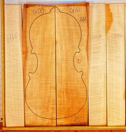 Cello No.100 Back and Sides