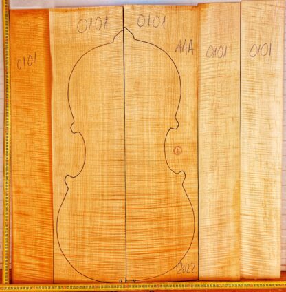 Cello No.101 Back and Sides