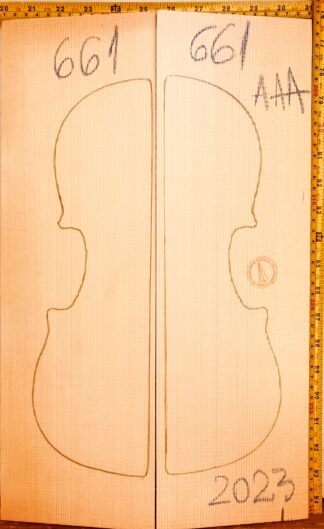 Violin No.661 Top