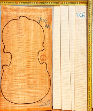 Violin No.706 One piece Back and Sides
