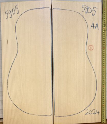 Guitar archtop No.5905 Top