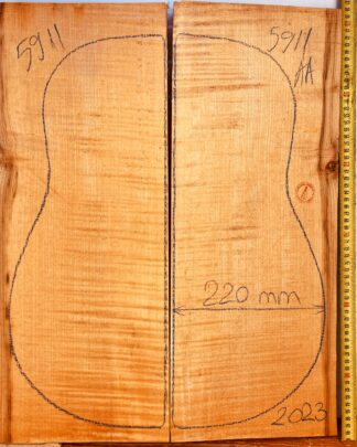 Guitar archtop No.5911 Back and Sides
