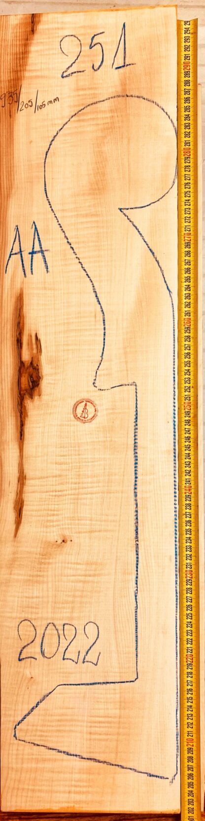 curly maple neck bass