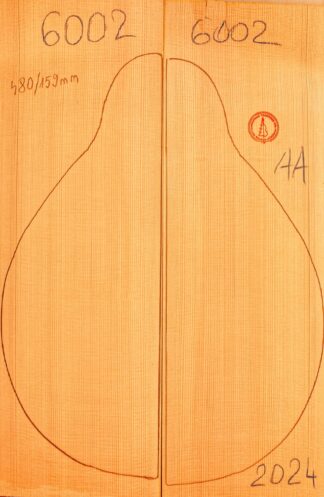 Mandolin
