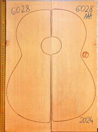 Guitar Classical No.6028 Top