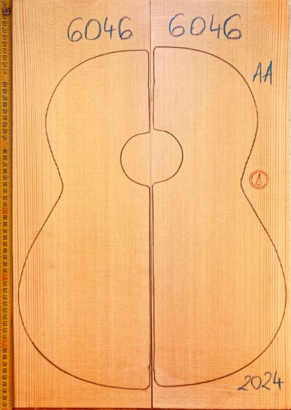 Guitar Classical No.6046 Top