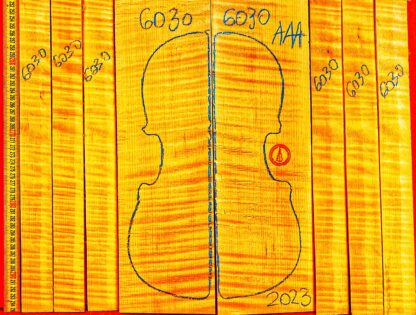 Violin No.6030 Back and Sides