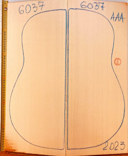 Guitar archtop No.6037 Top