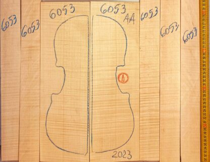 Violin No.6053 Back and Sides