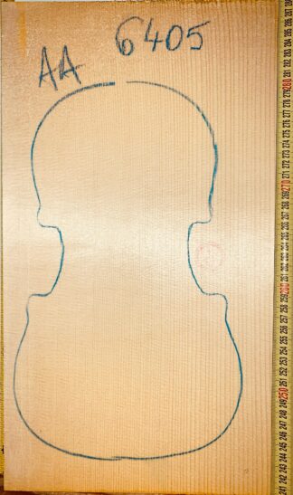 Violin No.6405 One piece Top