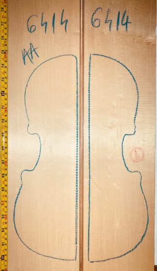 Violin No.6414 Top