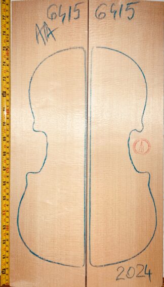 Violin No.6415 Top
