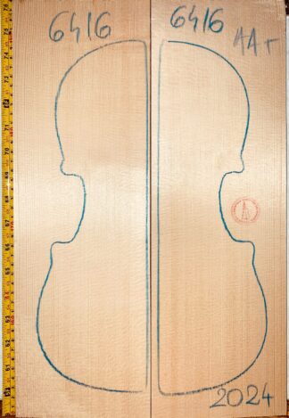 Violin No.6416 Top
