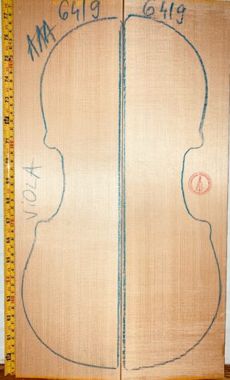 Violin No.6419 Top