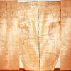 Cello No.6604 Back and Sides