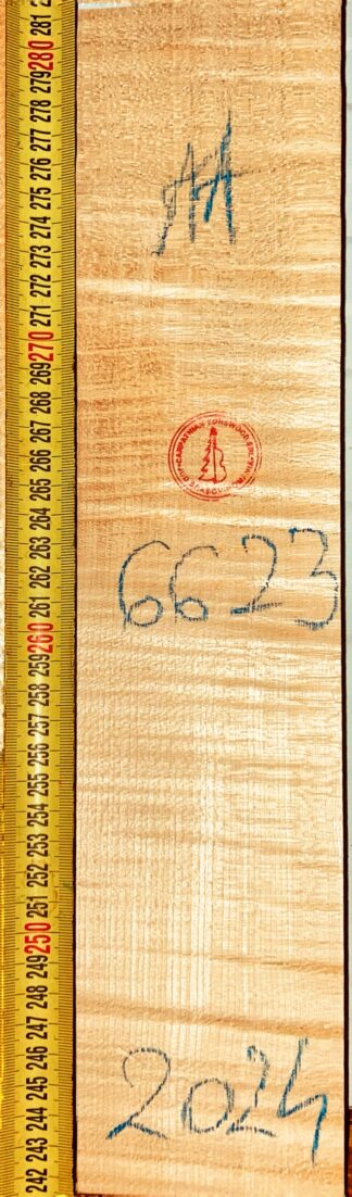 Violin No.6623 Neck