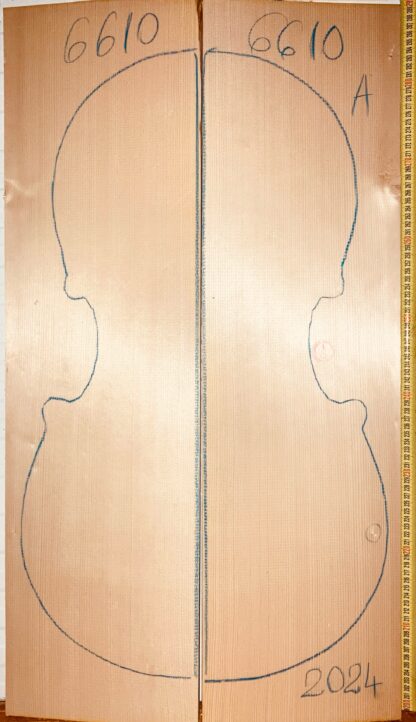 Cello No.6610 Top