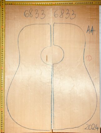 Guitar western No.6833 Top