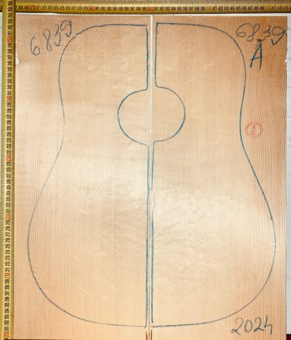 Guitar Acoustic No.6839 Top