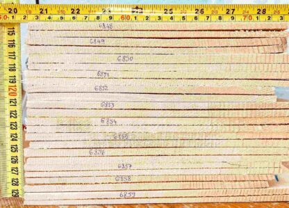 cut from Bear Claw Spruce