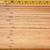 cut from Bear Claw Spruce