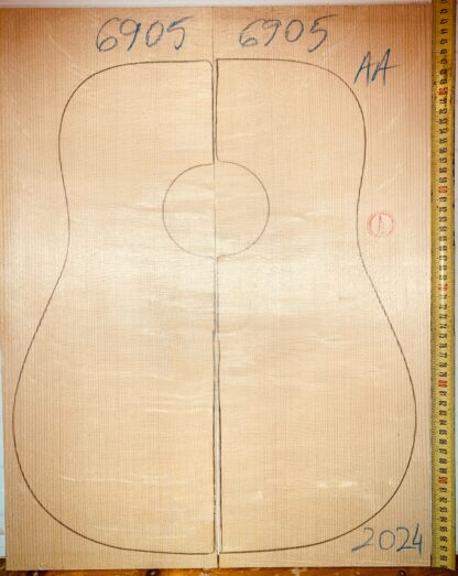 Guitar western No.6905 Top