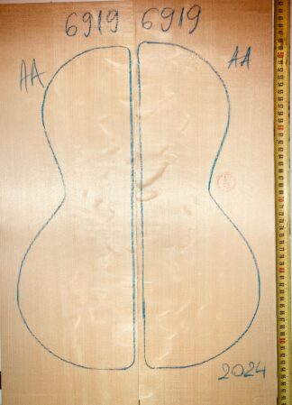 Parlor/Ukulele No.6919 Top