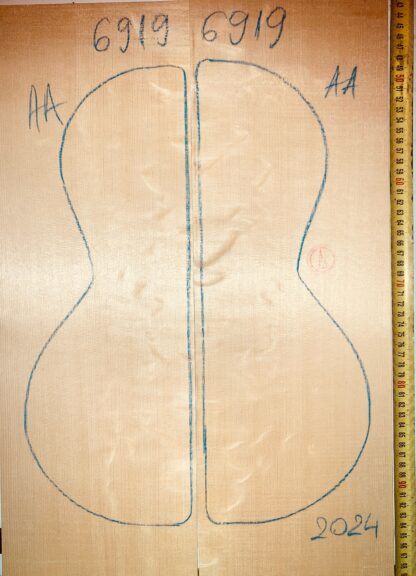 Parlor/Ukulele No.6919 Top