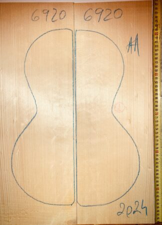 Parlor/Ukulele No.6920 Top