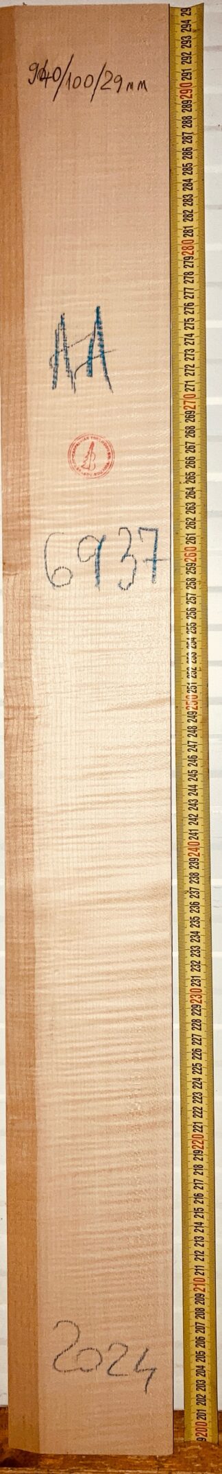 Guitar western No.6937 Neck