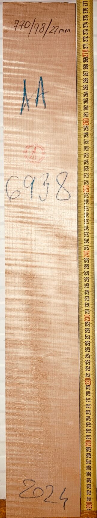 Guitar western No.6938 Neck