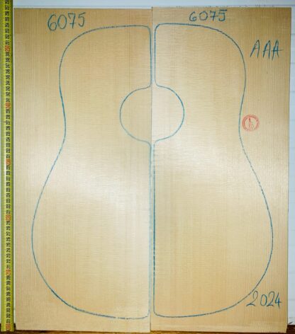 guitar spruce top