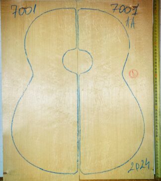 Guitar classical No.7001 Top