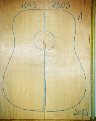Guitar western No.7003 Top