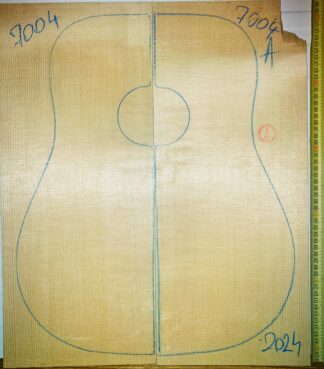 Guitar western No.7004 Top
