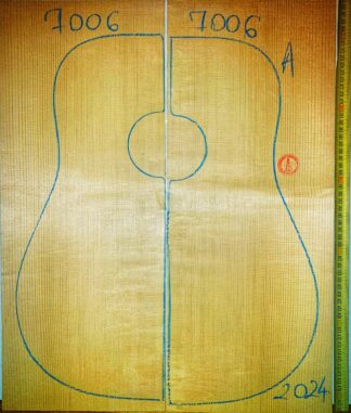 Guitar western No.7006 Top