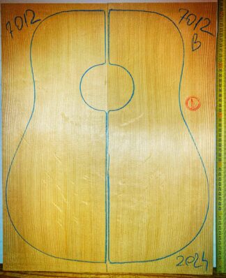 Guitar western No.7012 Top