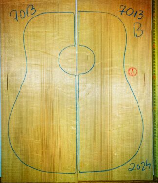 Guitar western No.7013 Top